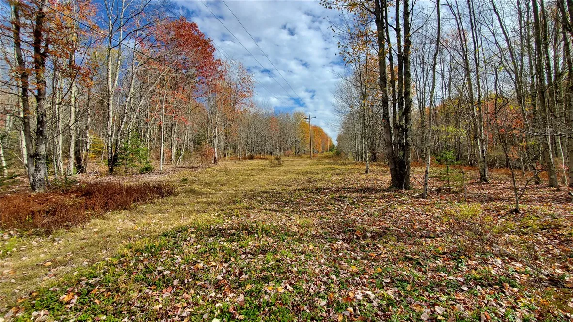 1135 Ridge Road, Hamden, New York 13782, Hamden, New York 13782, 3 Bedrooms Bedrooms, 8 Rooms Rooms,1 BathroomBathrooms,Residential,For Sale,1135 Ridge Road, Hamden, New York 13782,0,R1642556