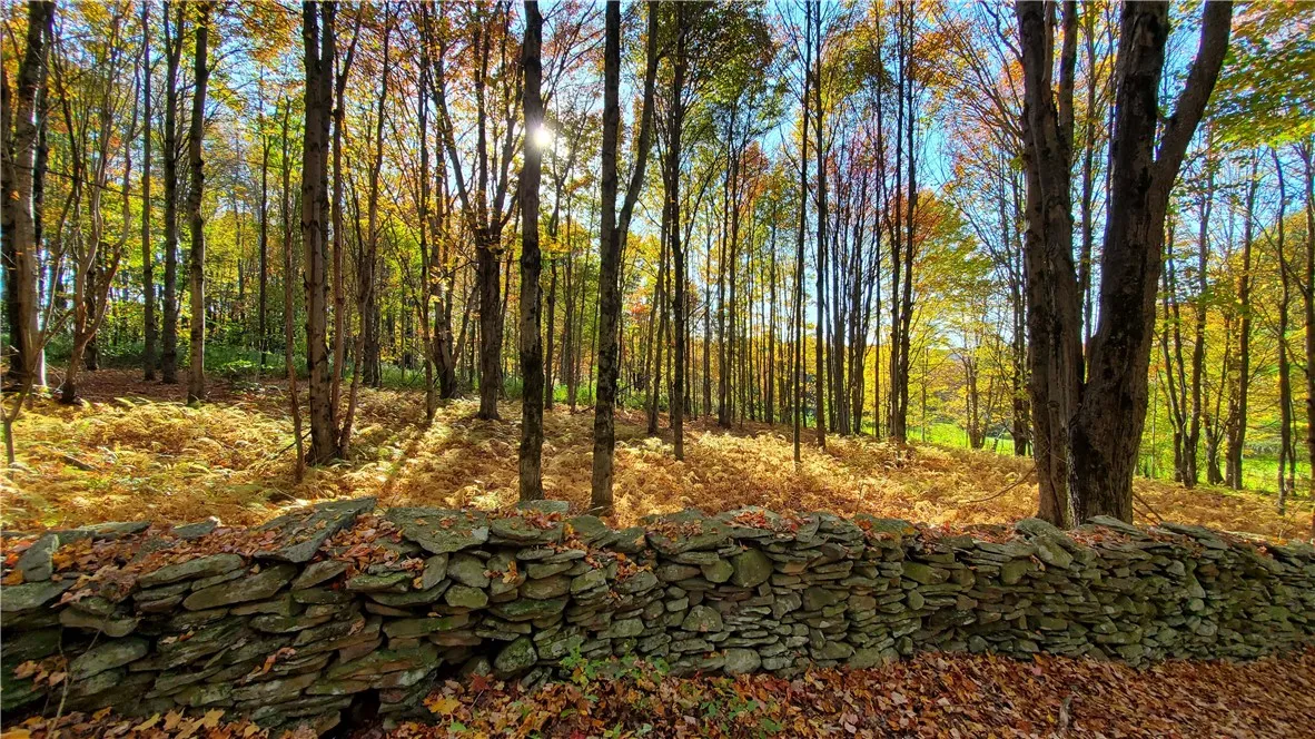 1135 Ridge Road, Hamden, New York 13782, Hamden, New York 13782, 3 Bedrooms Bedrooms, 8 Rooms Rooms,1 BathroomBathrooms,Residential,For Sale,1135 Ridge Road, Hamden, New York 13782,0,R1642556