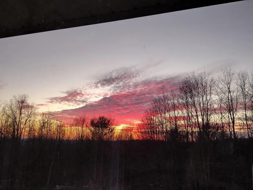 1430 Swarthout Road, Lindley, New York 14830, Lindley, New York 14830, 4 Bedrooms Bedrooms, 9 Rooms Rooms,2 BathroomsBathrooms,Residential,For Sale,1430 Swarthout Road, Lindley, New York 14830,0,R1645457