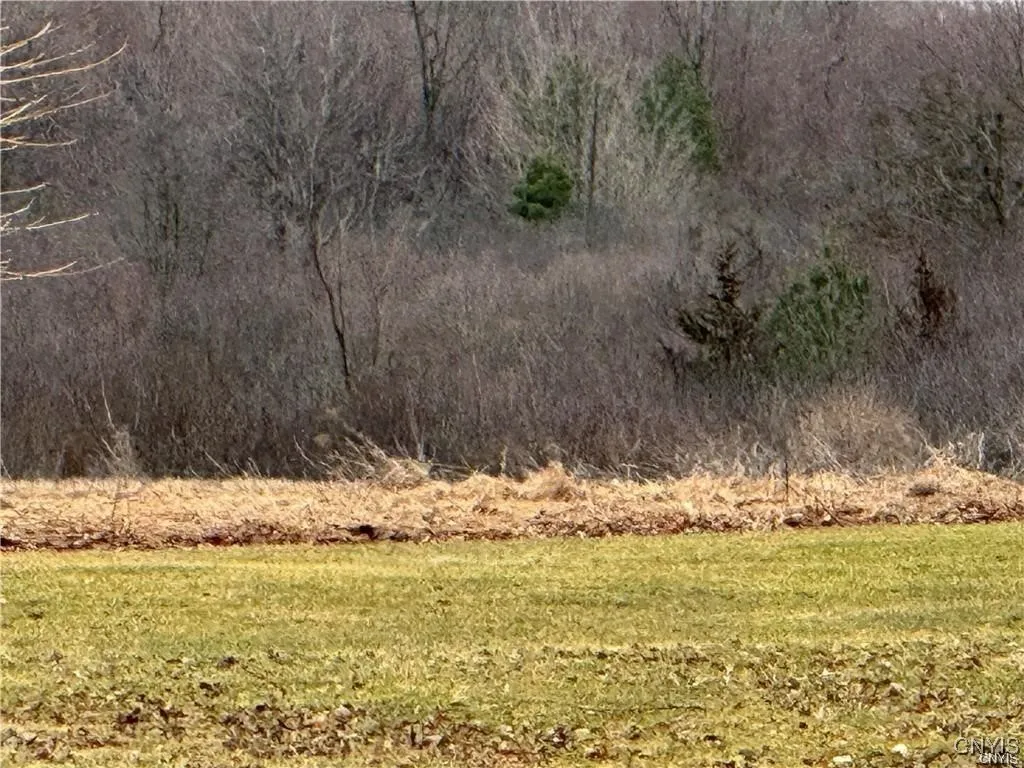 24972 Plank Road, Le Ray, New York 13616, Le Ray, New York 13616, ,Land,For Sale,24972 Plank Road, Le Ray, New York 13616,0,S1645961