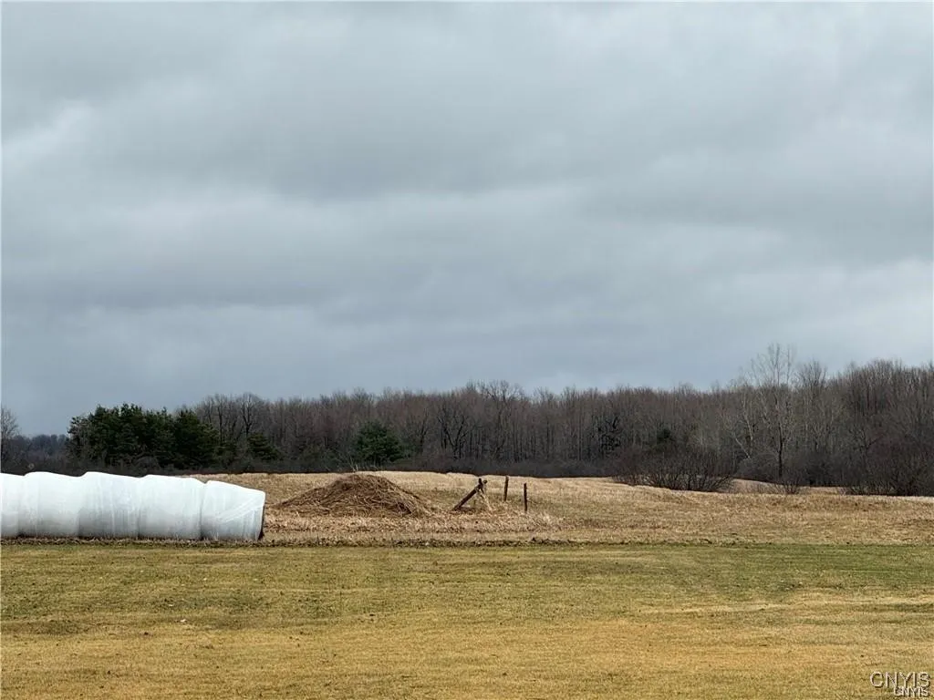 24972 Plank Road, Le Ray, New York 13616, Le Ray, New York 13616, ,Land,For Sale,24972 Plank Road, Le Ray, New York 13616,0,S1645961