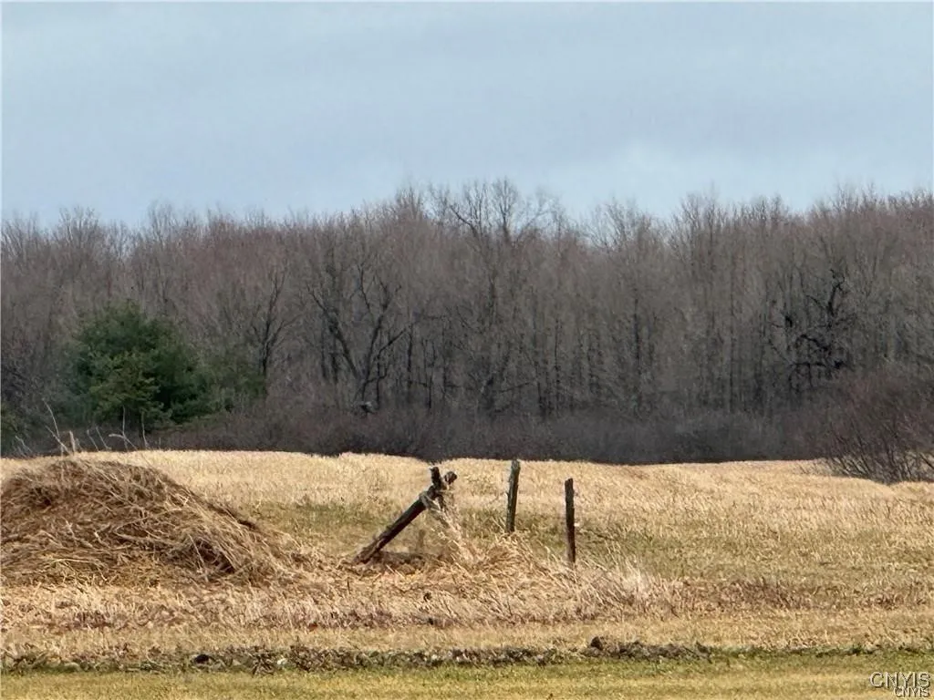 24972 Plank Road, Le Ray, New York 13616, Le Ray, New York 13616, ,Land,For Sale,24972 Plank Road, Le Ray, New York 13616,0,S1645961