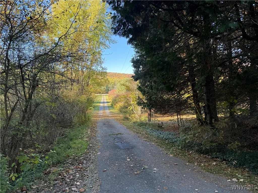 8197 Boston State Road, Boston, New York 14075, Boston, New York 14075, 1 Bedroom Bedrooms, 5 Rooms Rooms,1 BathroomBathrooms,Residential,For Sale,8197 Boston State Road, Boston, New York 14075,0,B1646066