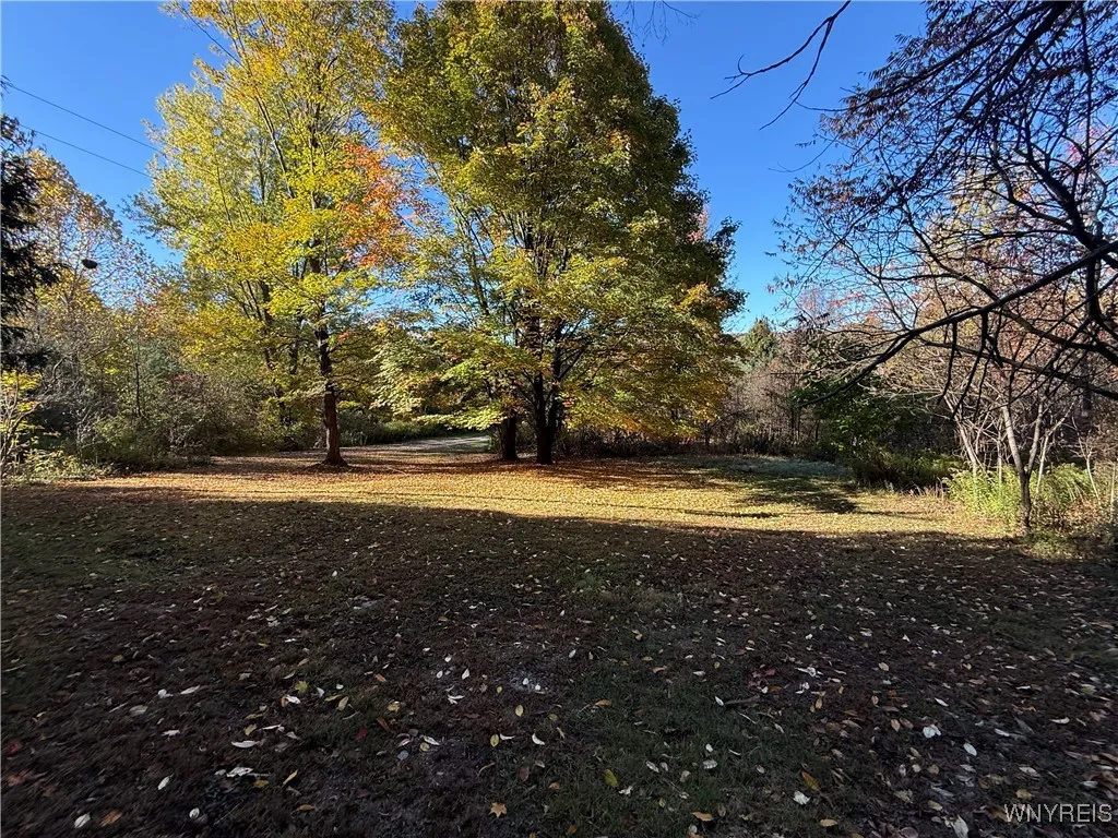 8197 Boston State Road, Boston, New York 14075, Boston, New York 14075, 1 Bedroom Bedrooms, 5 Rooms Rooms,1 BathroomBathrooms,Residential,For Sale,8197 Boston State Road, Boston, New York 14075,0,B1646066