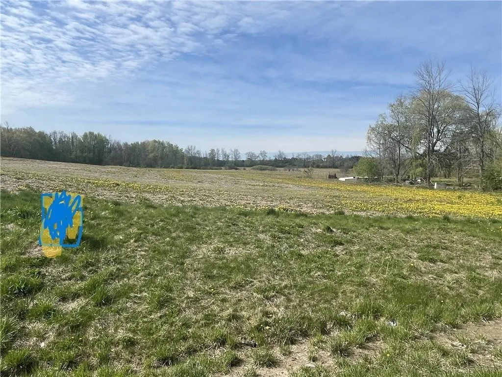 00 Route 318, Junius, New York 13165, Junius, New York 13165, ,Land,For Sale,00 Route 318, Junius, New York 13165,0,R1643202