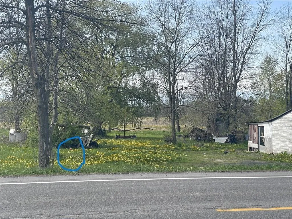 See reflective property marker circled in blue here. This is the approximate frontage boundary.