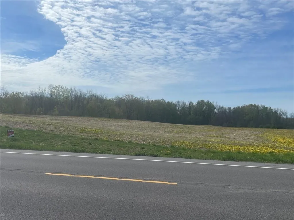 00 Route 318, Junius, New York 13165, Junius, New York 13165, ,Land,For Sale,00 Route 318, Junius, New York 13165,0,R1643202
