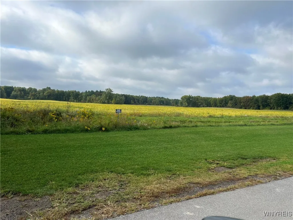 Orchard Park, New York 14127, ,Land,For Sale,0,B1646061