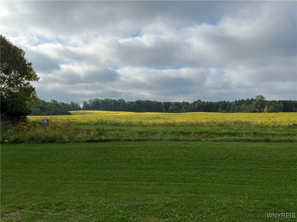 Orchard Park, New York 14127, ,Land,For Sale,0,B1646061