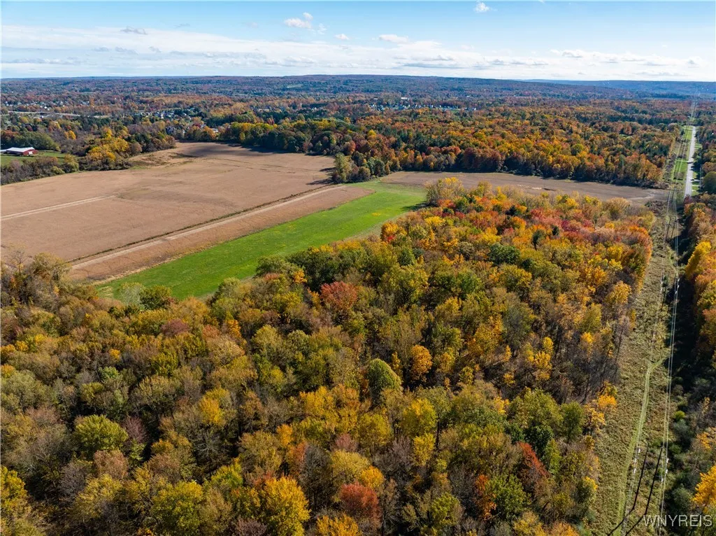 Orchard Park, New York 14127, ,Land,For Sale,0,B1646061