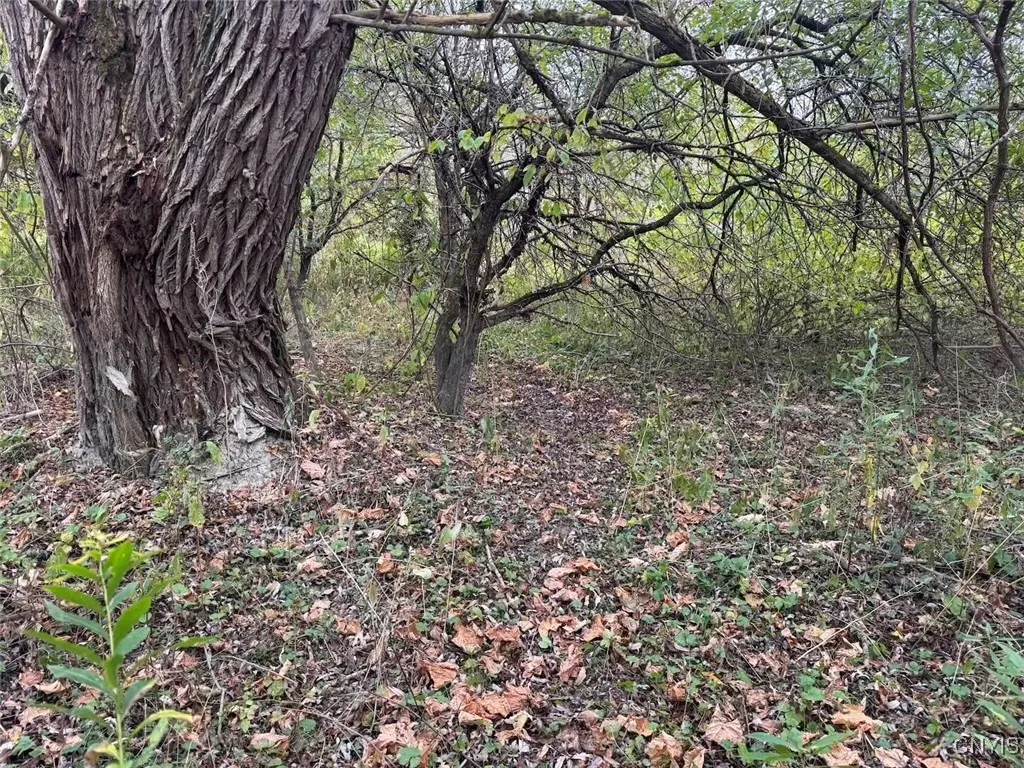 Route 446, Hinsdale, New York 14743, Hinsdale, New York 14743, ,Land,For Sale,Route 446, Hinsdale, New York 14743,0,S1646170