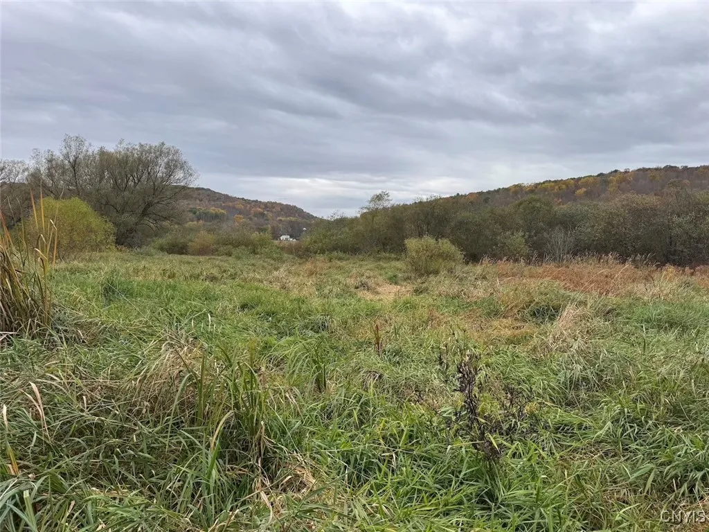 Route 446, Hinsdale, New York 14743, Hinsdale, New York 14743, ,Land,For Sale,Route 446, Hinsdale, New York 14743,0,S1646170