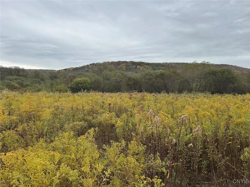 Route 446, Hinsdale, New York 14743, Hinsdale, New York 14743, ,Land,For Sale,Route 446, Hinsdale, New York 14743,0,S1646170