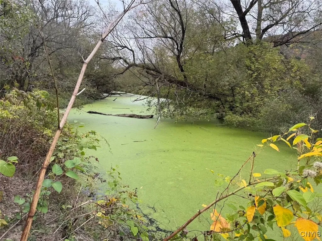 Route 446, Hinsdale, New York 14743, Hinsdale, New York 14743, ,Land,For Sale,Route 446, Hinsdale, New York 14743,0,S1646170