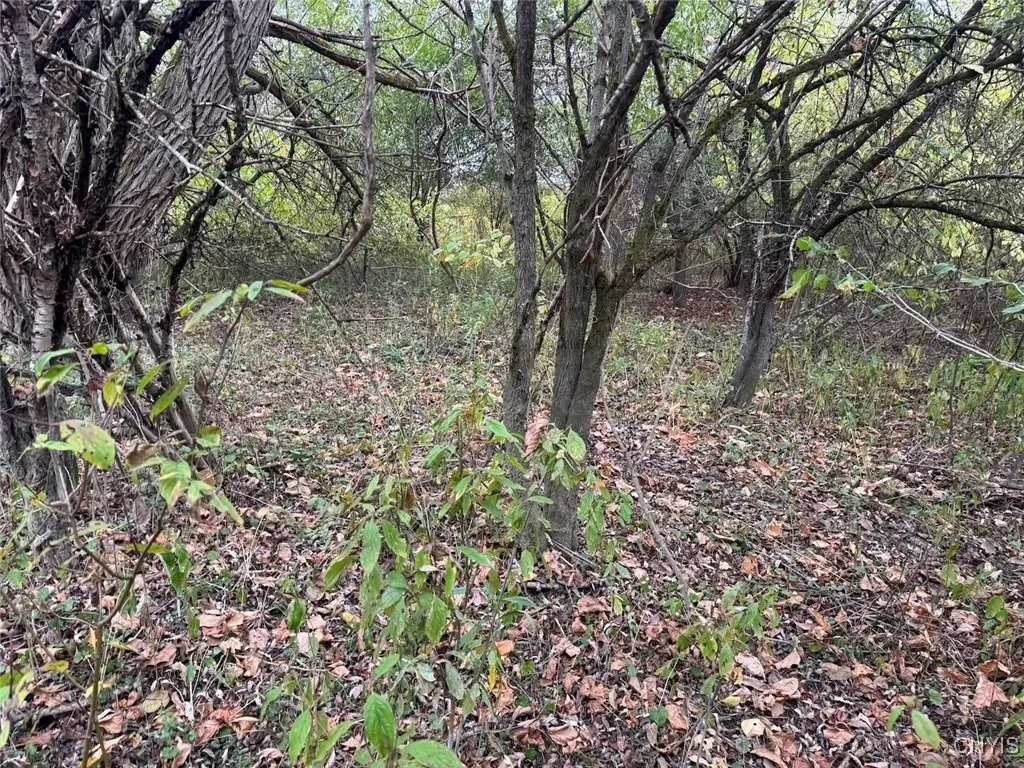 Route 446, Hinsdale, New York 14743, Hinsdale, New York 14743, ,Land,For Sale,Route 446, Hinsdale, New York 14743,0,S1646170