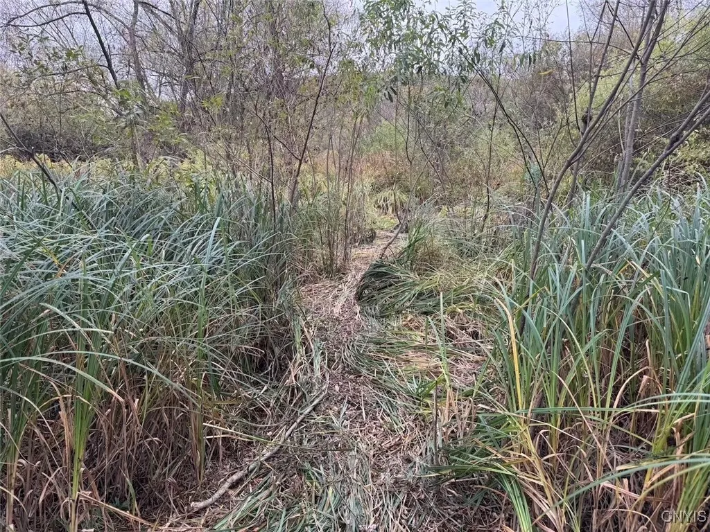 Route 446, Hinsdale, New York 14743, Hinsdale, New York 14743, ,Land,For Sale,Route 446, Hinsdale, New York 14743,0,S1646170