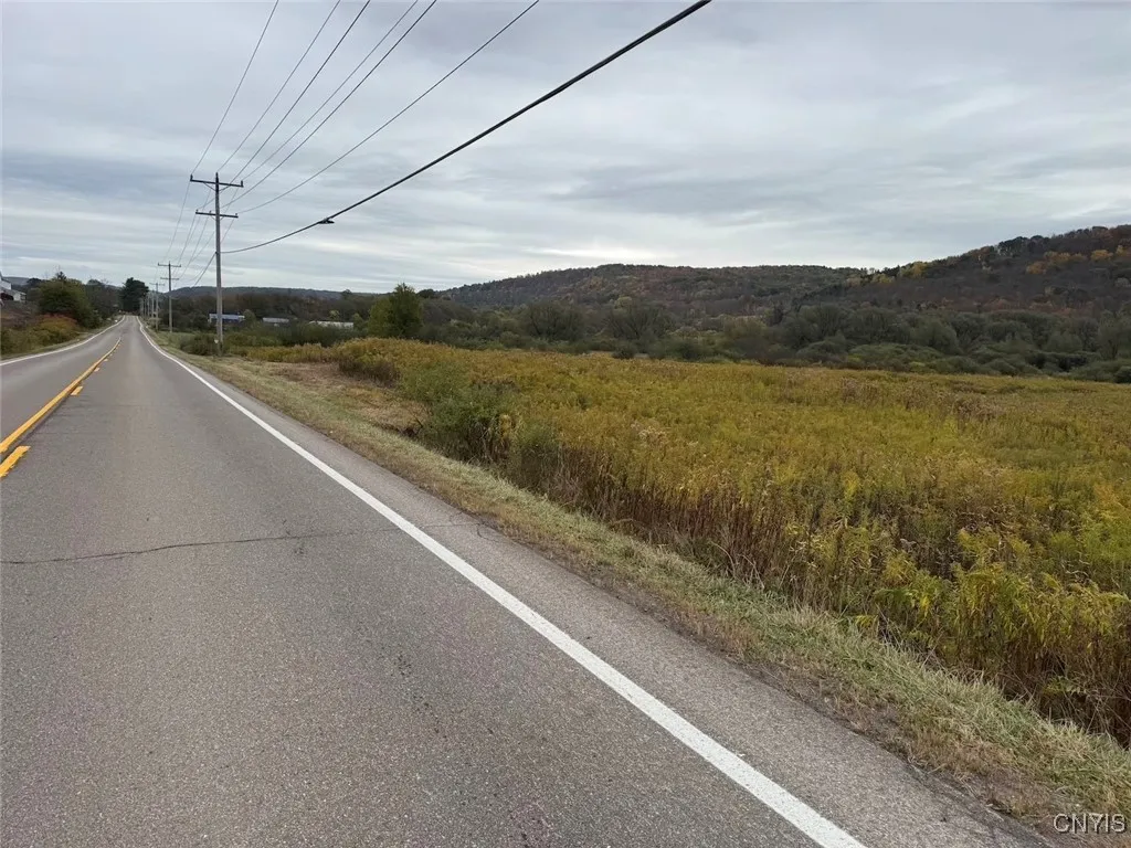 Route 446, Hinsdale, New York 14743, Hinsdale, New York 14743, ,Land,For Sale,Route 446, Hinsdale, New York 14743,0,S1646170