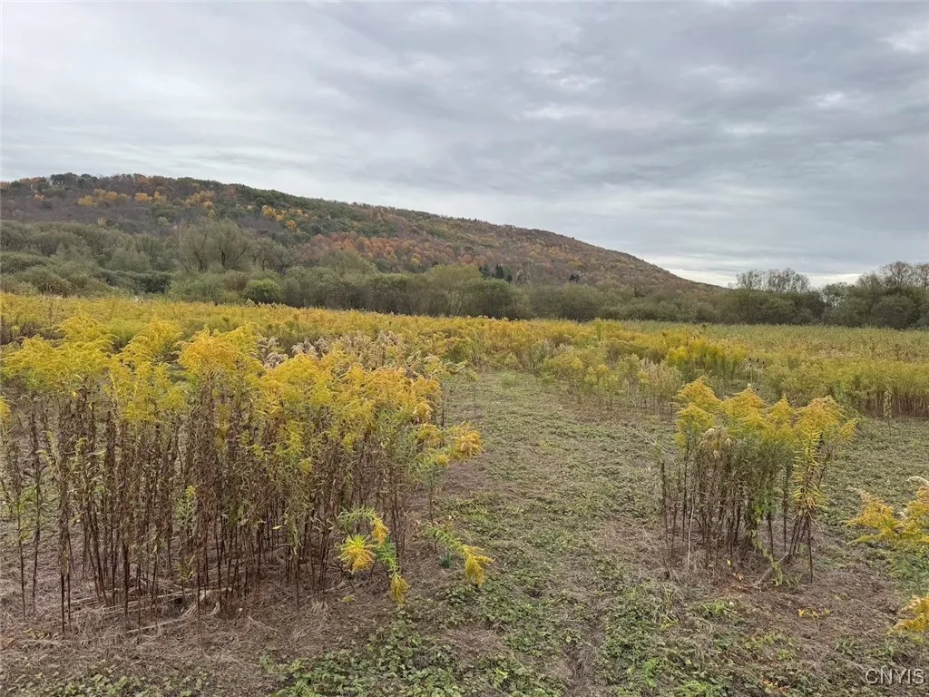 Route 446, Hinsdale, New York 14743, Hinsdale, New York 14743, ,Land,For Sale,Route 446, Hinsdale, New York 14743,0,S1646170