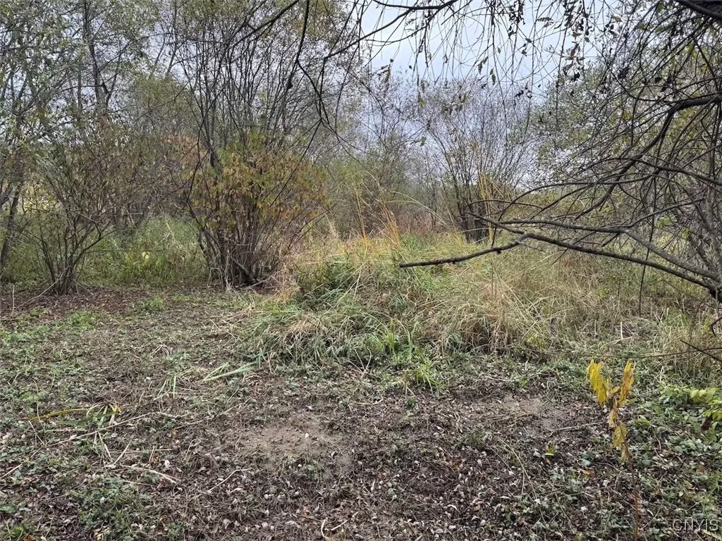 Route 446, Hinsdale, New York 14743, Hinsdale, New York 14743, ,Land,For Sale,Route 446, Hinsdale, New York 14743,0,S1646170