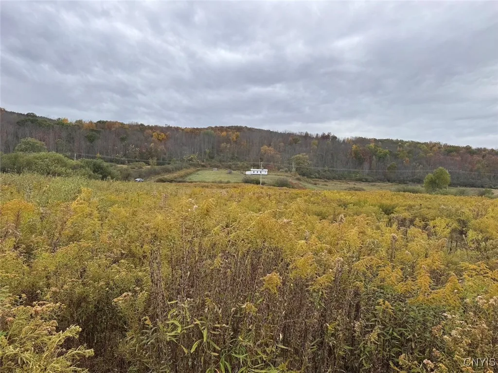 Route 446, Hinsdale, New York 14743, Hinsdale, New York 14743, ,Land,For Sale,Route 446, Hinsdale, New York 14743,0,S1646170