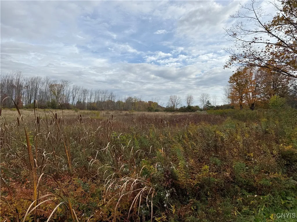 11033 Francis Road, Remsen, New York 13438, Remsen, New York 13438, 3 Bedrooms Bedrooms, 4 Rooms Rooms,1 BathroomBathrooms,Residential,For Sale,11033 Francis Road, Remsen, New York 13438,0,S1646161