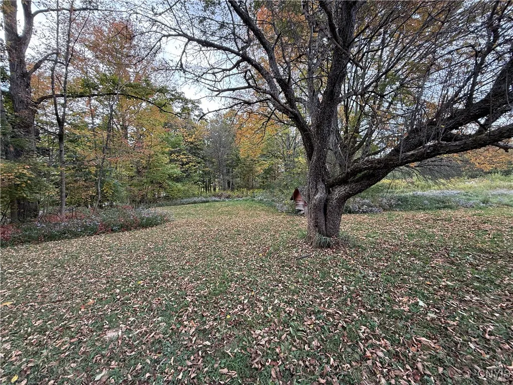 11033 Francis Road, Remsen, New York 13438, Remsen, New York 13438, 3 Bedrooms Bedrooms, 4 Rooms Rooms,1 BathroomBathrooms,Residential,For Sale,11033 Francis Road, Remsen, New York 13438,0,S1646161