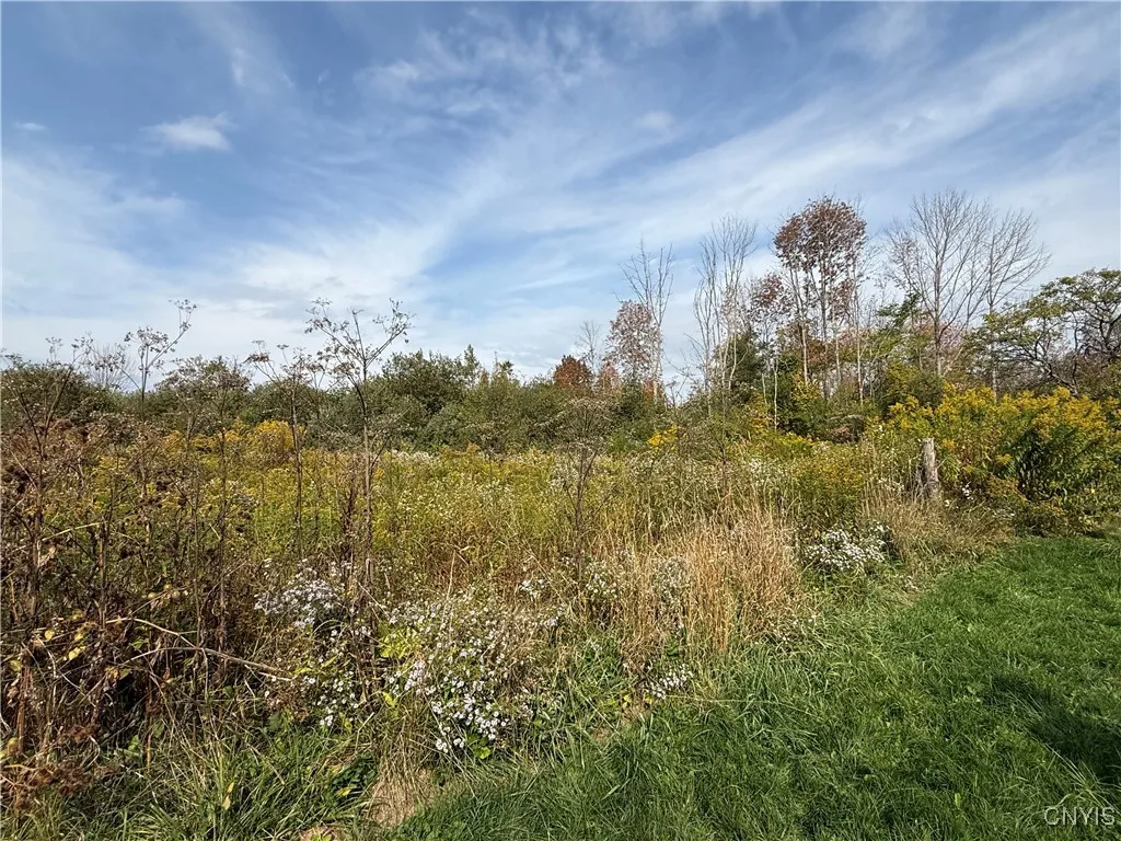 11033 Francis Road, Remsen, New York 13438, Remsen, New York 13438, 3 Bedrooms Bedrooms, 4 Rooms Rooms,1 BathroomBathrooms,Residential,For Sale,11033 Francis Road, Remsen, New York 13438,0,S1646161