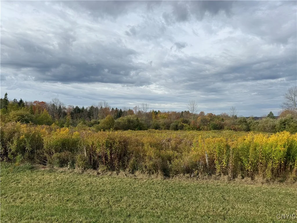 11033 Francis Road, Remsen, New York 13438, Remsen, New York 13438, 3 Bedrooms Bedrooms, 4 Rooms Rooms,1 BathroomBathrooms,Residential,For Sale,11033 Francis Road, Remsen, New York 13438,0,S1646161