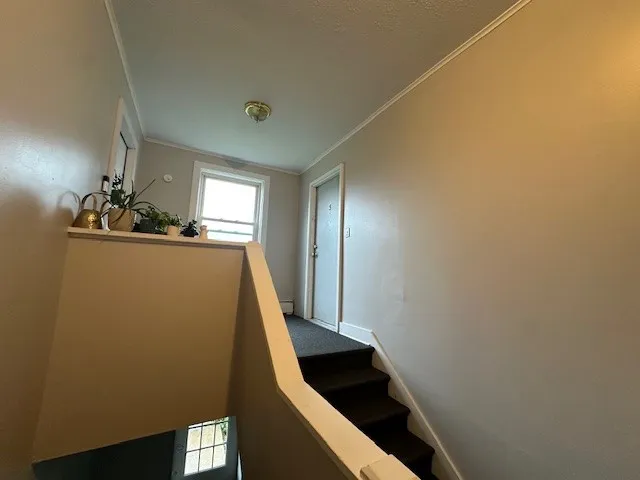 7591 Healy Road, Sennett, New York 13021, Sennett, New York 13021, 7 Bedrooms Bedrooms, ,Multi Family,For Sale,7591 Healy Road, Sennett, New York 13021,0,R1619011
