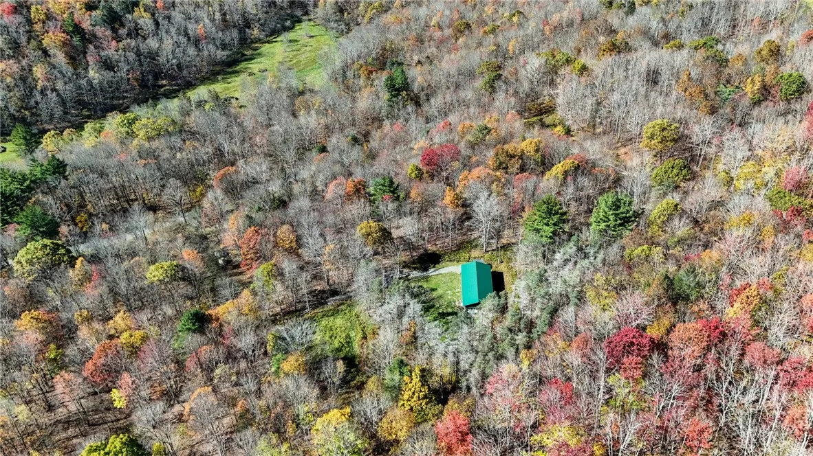 907 Skip Gray Road, Colchester, New York 13752, Colchester, New York 13752, 3 Bedrooms Bedrooms, 8 Rooms Rooms,3 BathroomsBathrooms,Residential,For Sale,907 Skip Gray Road, Colchester, New York 13752,0,R1646042