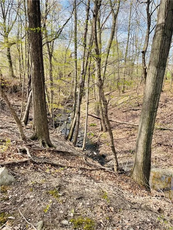 Rt-14, Torrey, New York 14527, Torrey, New York 14527, ,Land,For Sale,Rt-14, Torrey, New York 14527,0,R1646229