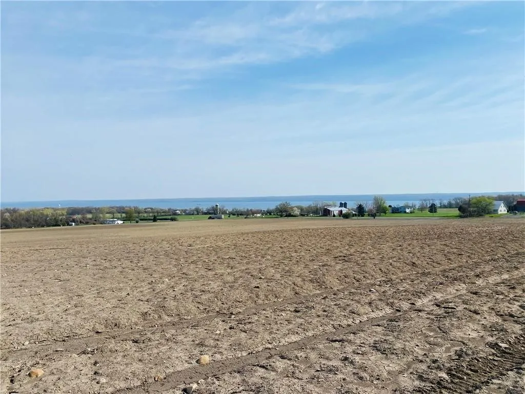 Rt-14, Torrey, New York 14527, Torrey, New York 14527, ,Land,For Sale,Rt-14, Torrey, New York 14527,0,R1646229