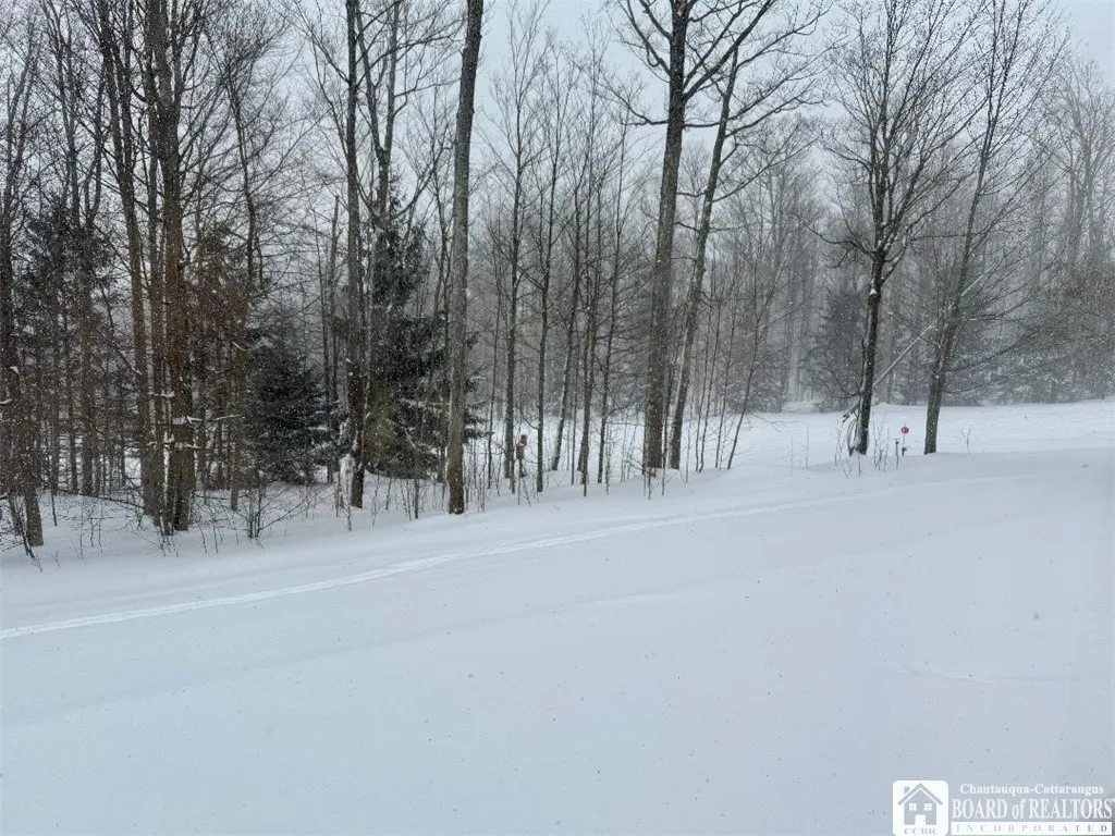 8270 Canterbury Drive 8270, French Creek, New York, French Creek, New York 14724, 3 Bedrooms Bedrooms, 8 Rooms Rooms,2 BathroomsBathrooms,Residential,For Sale,8270 Canterbury Drive 8270, French Creek, New York,0,R1646327