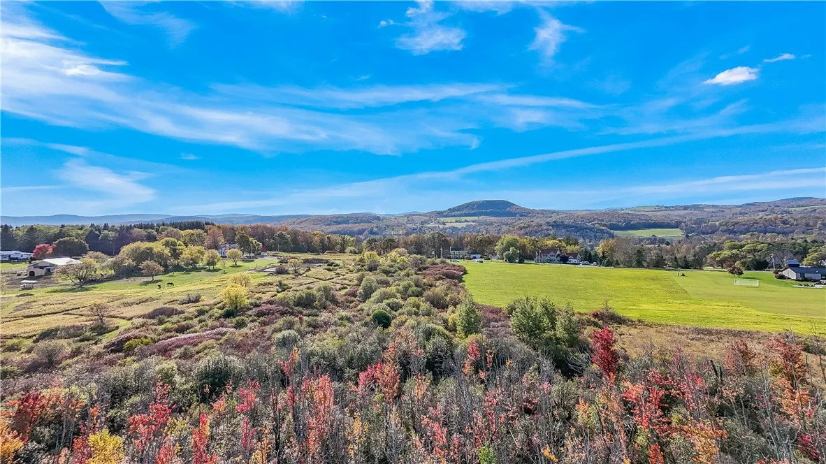 L25.3 Crommie Road, Carlisle, New York 12043, Carlisle, New York 12043, ,Land,For Sale,L25.3 Crommie Road, Carlisle, New York 12043,0,R1645933