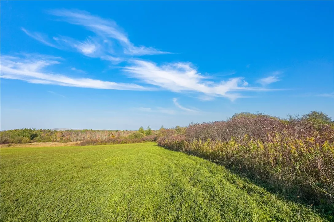 L25.3 Crommie Road, Carlisle, New York 12043, Carlisle, New York 12043, ,Land,For Sale,L25.3 Crommie Road, Carlisle, New York 12043,0,R1645933