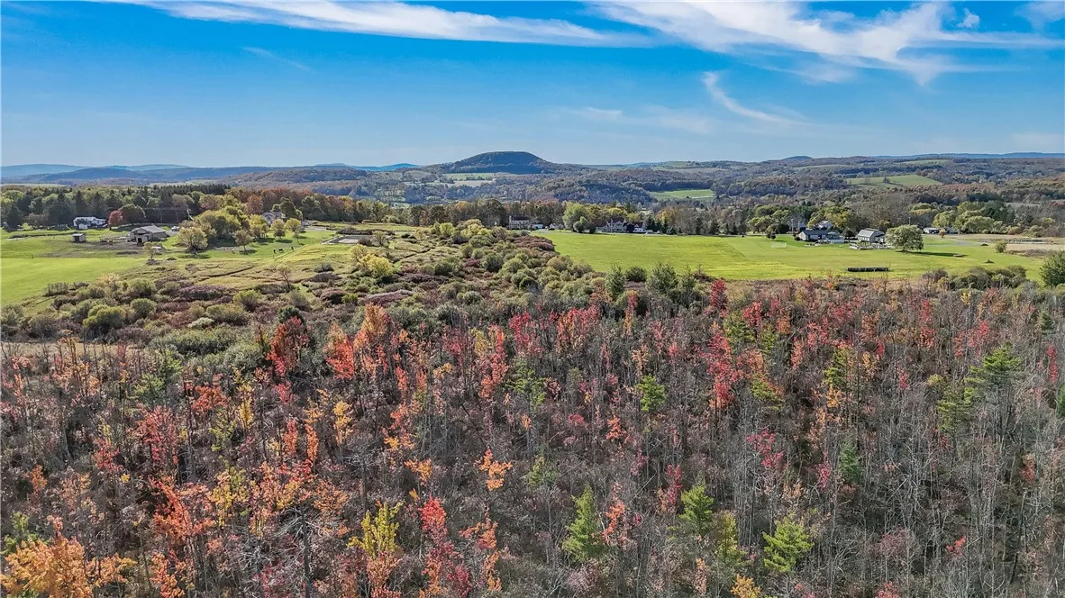 L25.3 Crommie Road, Carlisle, New York 12043, Carlisle, New York 12043, ,Land,For Sale,L25.3 Crommie Road, Carlisle, New York 12043,0,R1645933
