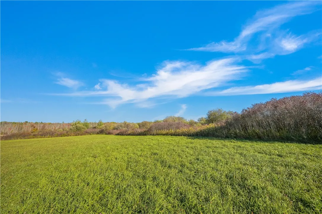 L25.3 Crommie Road, Carlisle, New York 12043, Carlisle, New York 12043, ,Land,For Sale,L25.3 Crommie Road, Carlisle, New York 12043,0,R1645933