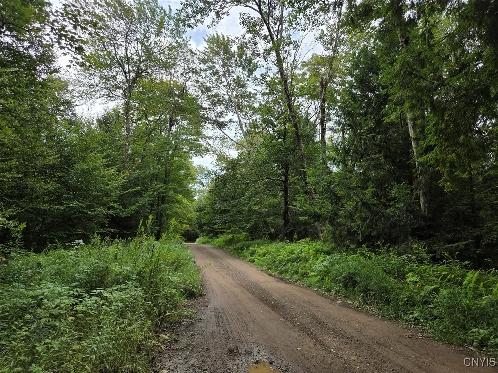 000 William Ernst Road, Lewis, New York 12950, Lewis, New York 12950, ,Land,For Sale,000 William Ernst Road, Lewis, New York 12950,0,S1646517