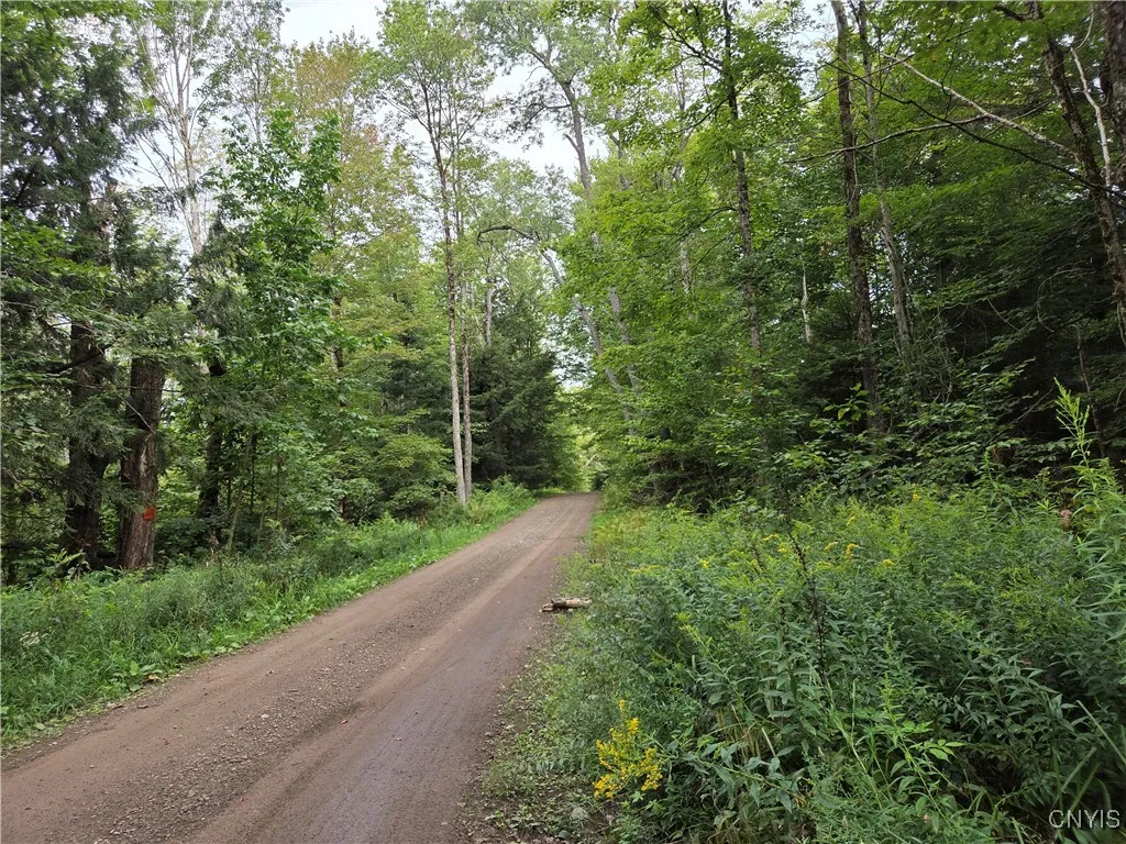 000 William Ernst Road, Lewis, New York 12950, Lewis, New York 12950, ,Land,For Sale,000 William Ernst Road, Lewis, New York 12950,0,S1646517