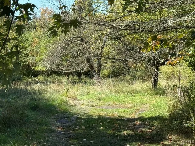 210 Hillside Avenue, Oswego, New York 13126, Oswego, New York 13126, 2 Bedrooms Bedrooms, 6 Rooms Rooms,1 BathroomBathrooms,Residential,For Sale,210 Hillside Avenue, Oswego, New York 13126,0,S1646588