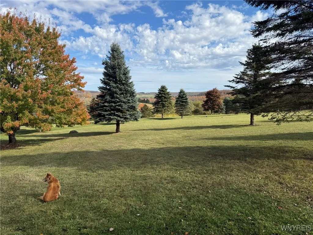 5870 Ashford Hollow Road, Ashford, New York 14171, Ashford, New York 14171, ,Land,For Sale,5870 Ashford Hollow Road, Ashford, New York 14171,0,B1646552