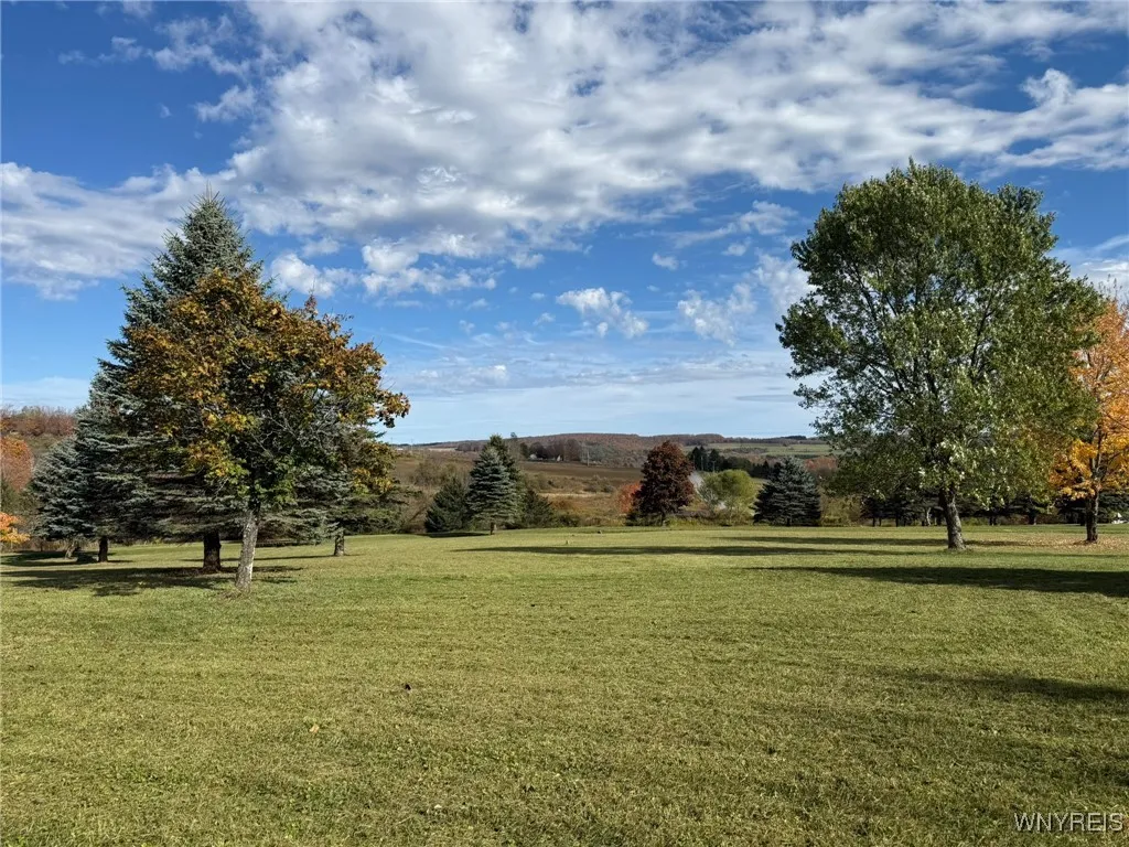 5870 Ashford Hollow Road, Ashford, New York 14171, Ashford, New York 14171, ,Land,For Sale,5870 Ashford Hollow Road, Ashford, New York 14171,0,B1646552