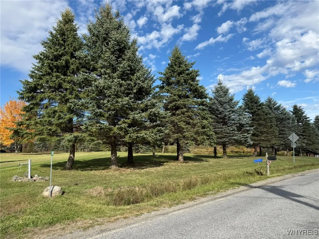 5870 Ashford Hollow Road, Ashford, New York 14171, Ashford, New York 14171, ,Land,For Sale,5870 Ashford Hollow Road, Ashford, New York 14171,0,B1646552