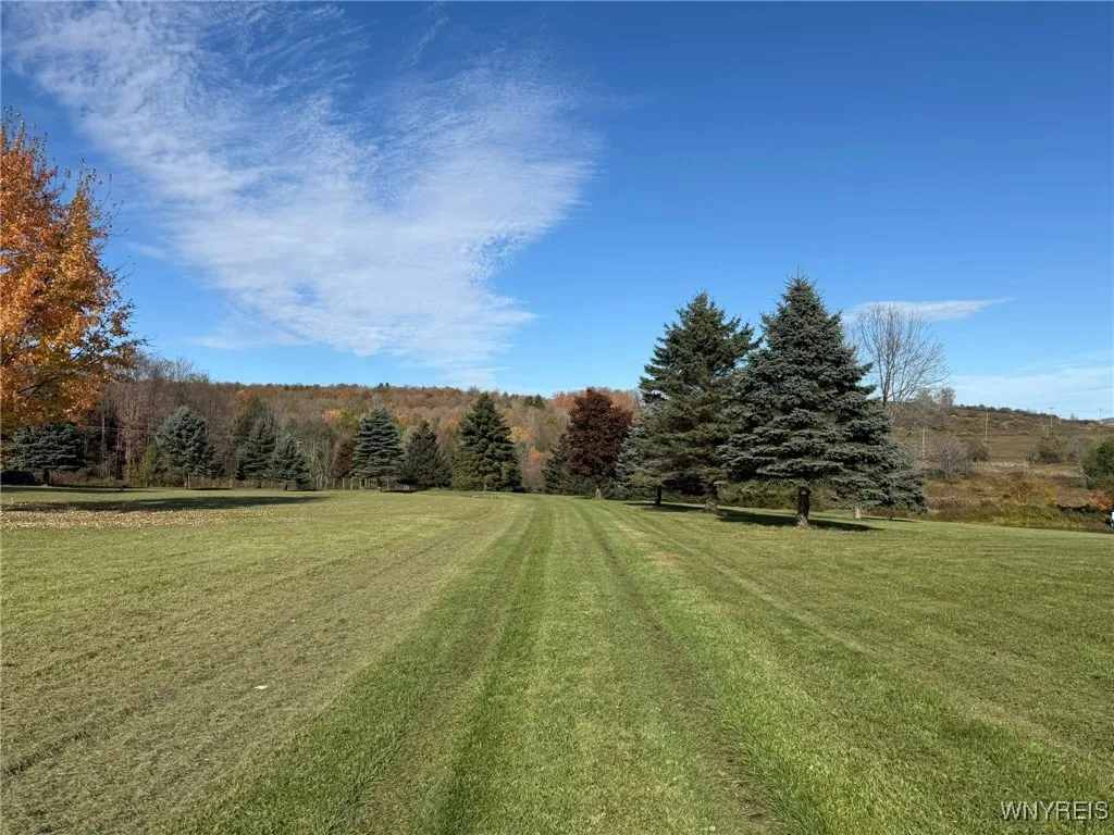 5870 Ashford Hollow Road, Ashford, New York 14171, Ashford, New York 14171, ,Land,For Sale,5870 Ashford Hollow Road, Ashford, New York 14171,0,B1646552