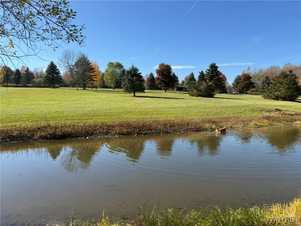 5870 Ashford Hollow Road, Ashford, New York 14171, Ashford, New York 14171, ,Land,For Sale,5870 Ashford Hollow Road, Ashford, New York 14171,0,B1646552