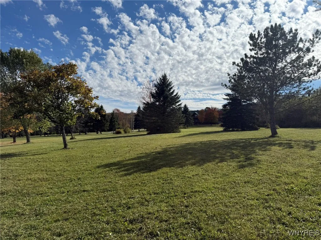 5870 Ashford Hollow Road, Ashford, New York 14171, Ashford, New York 14171, ,Land,For Sale,5870 Ashford Hollow Road, Ashford, New York 14171,0,B1646552