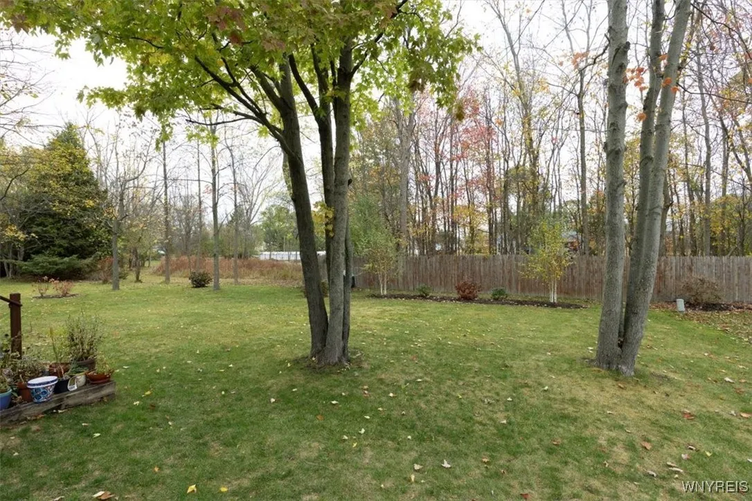 Large backyard, trees and shrubs fill in and look lovely