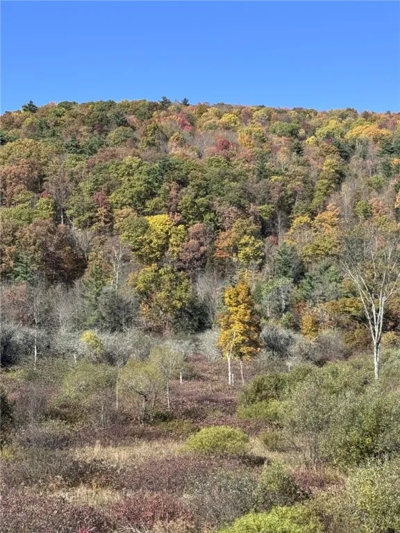 925 East Honeoye Street, Shinglehouse, Pennsylvani, Shinglehouse, Pennsylvania 16748, 4 Bedrooms Bedrooms, 11 Rooms Rooms,3 BathroomsBathrooms,Residential,For Sale,925 East Honeoye Street, Shinglehouse, Pennsylvani,0,R1645246