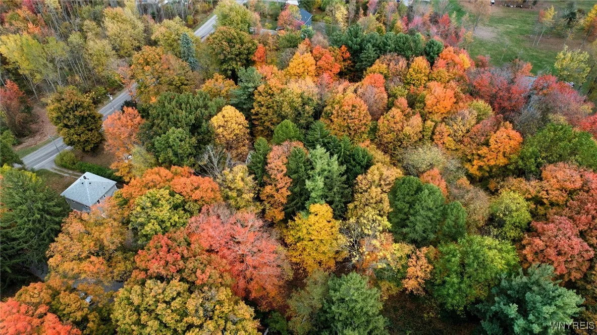 2155 Lakeview Road, Hamburg, New York 14085, Hamburg, New York 14085, 3 Bedrooms Bedrooms, 8 Rooms Rooms,1 BathroomBathrooms,Residential,For Sale,2155 Lakeview Road, Hamburg, New York 14085,0,B1646485