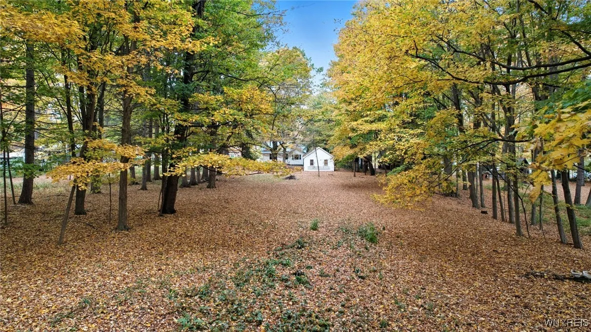 2155 Lakeview Road, Hamburg, New York 14085, Hamburg, New York 14085, 3 Bedrooms Bedrooms, 8 Rooms Rooms,1 BathroomBathrooms,Residential,For Sale,2155 Lakeview Road, Hamburg, New York 14085,0,B1646485